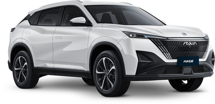 Dongfeng Mage